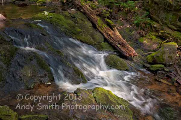 Tillman Brook